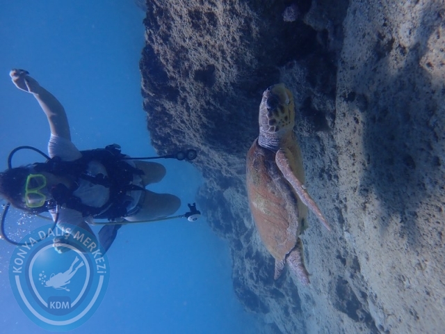 15-16 Ağustos KAŞ