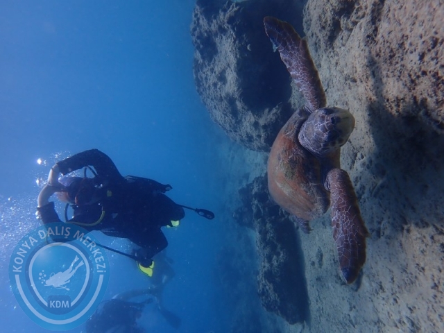 15-16 Ağustos KAŞ