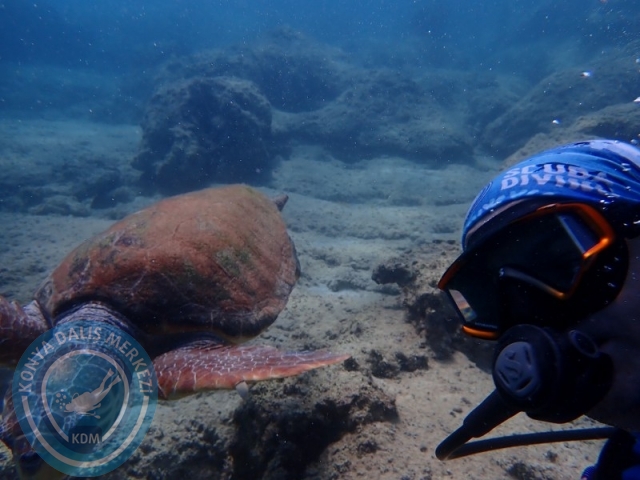 15-16 Ağustos KAŞ