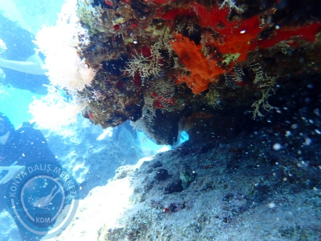 15-16 Temmuz Kaş