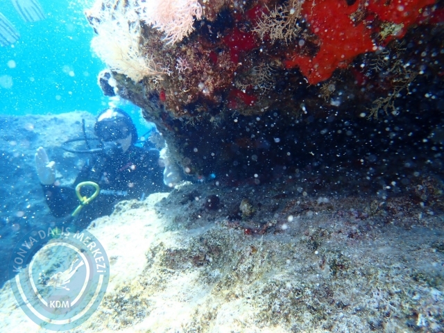 15-16 Temmuz Kaş