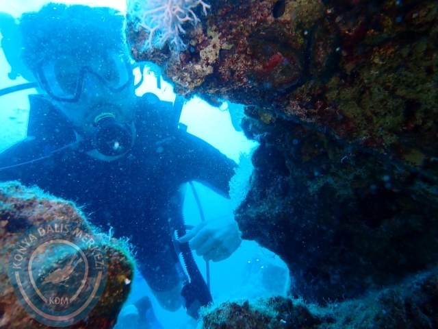 15-16 Temmuz Kaş