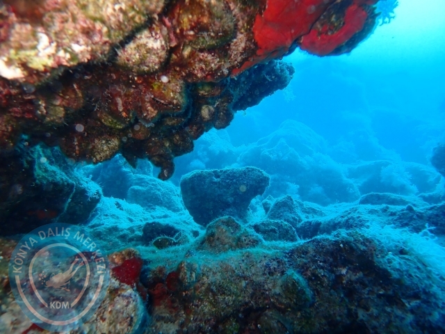 15-16 Temmuz Kaş