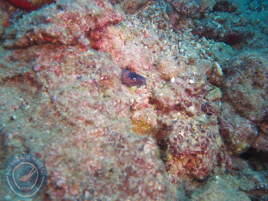 15-26 Anamur Bozyazı