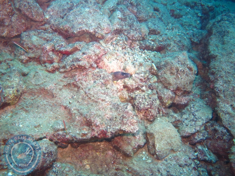 15-26 Anamur Bozyazı