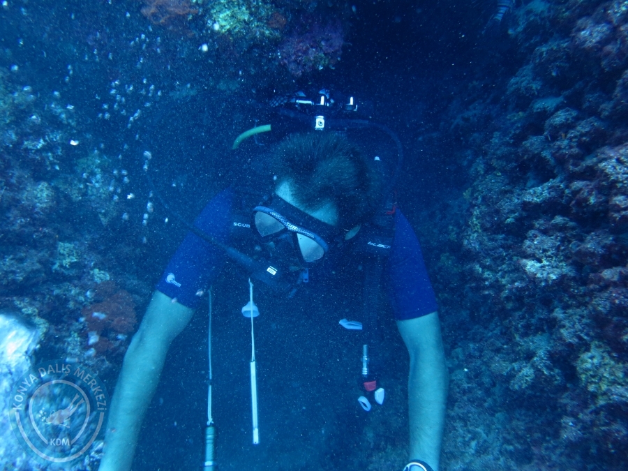15-26 Anamur Bozyazı