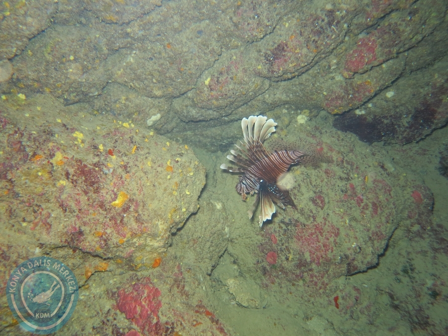 15-26 Anamur Bozyazı