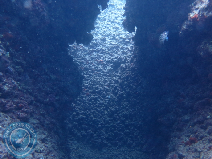 15-26 Anamur Bozyazı