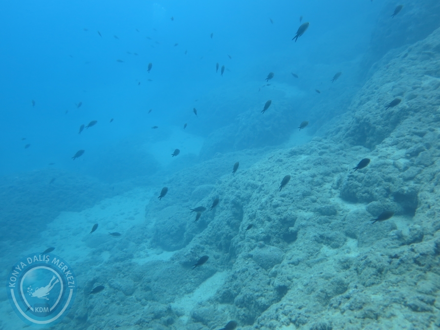 15-26 Anamur Bozyazı