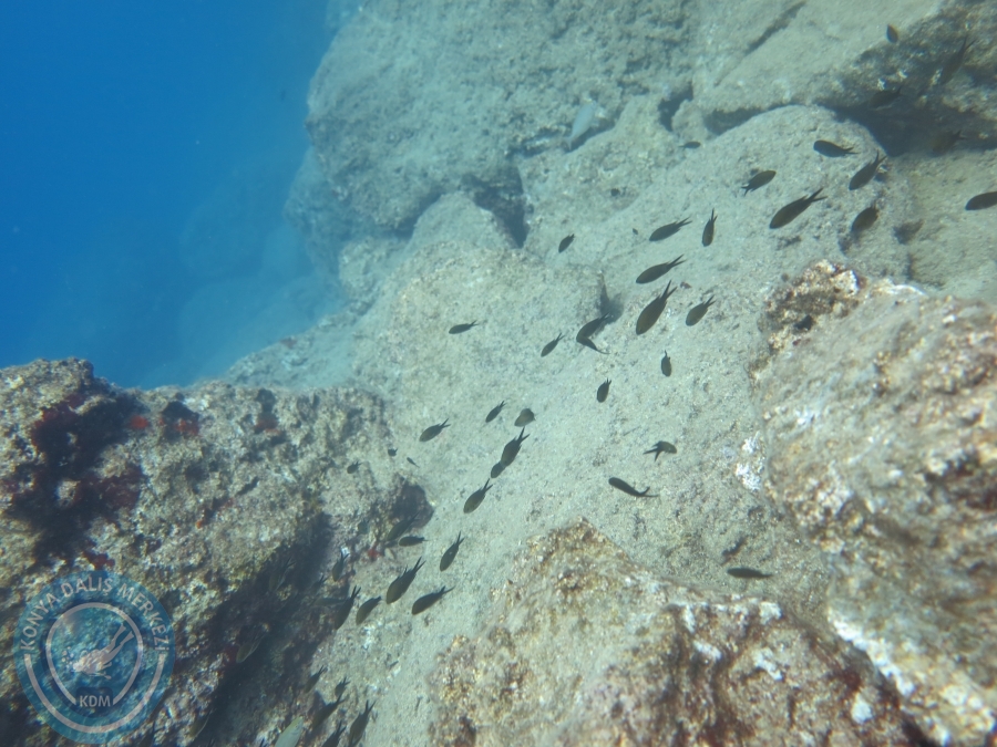 15-26 Anamur Bozyazı