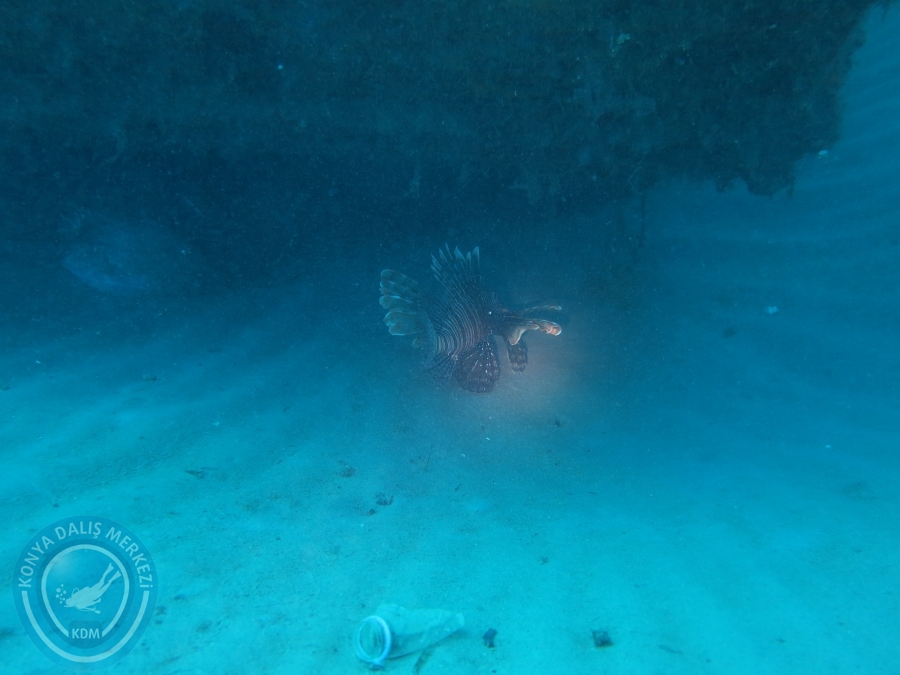 16-17 Nisan Alanya Dalışı