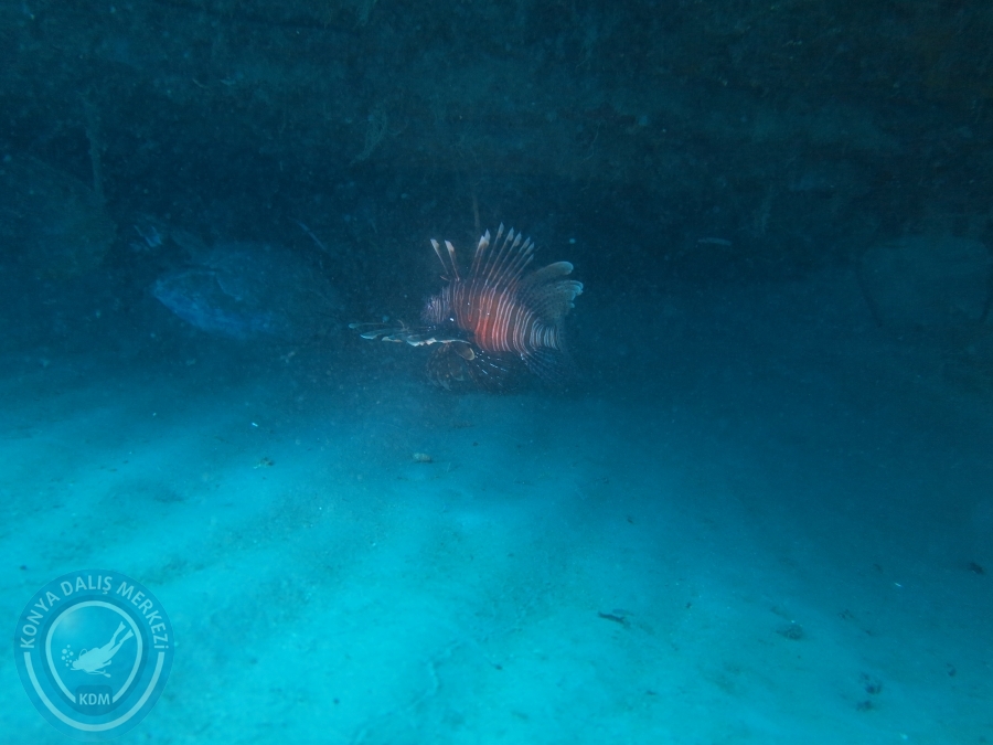 16-17 Nisan Alanya Dalışı