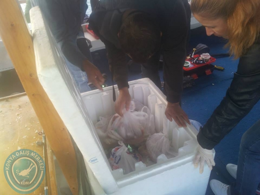 16 Kasım boğsak balık avı