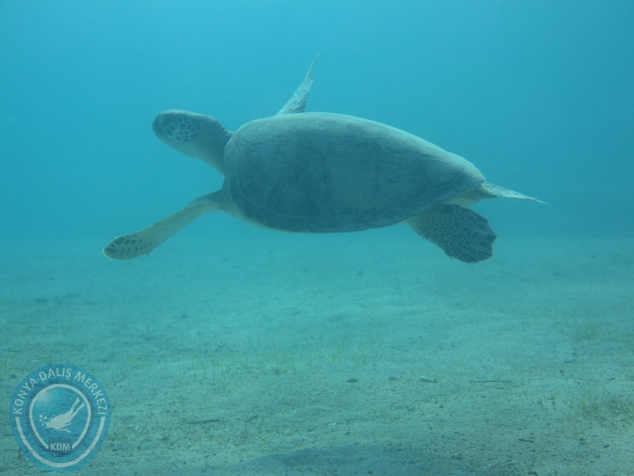 17-18 Ekim 2015 KAŞ 