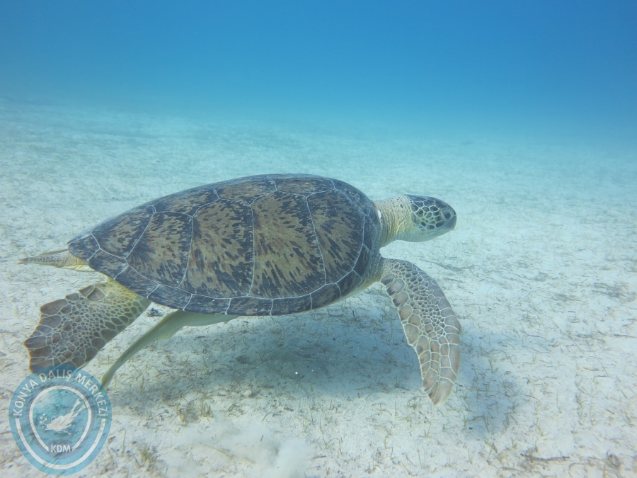 17-18 Ekim 2015 KAŞ 