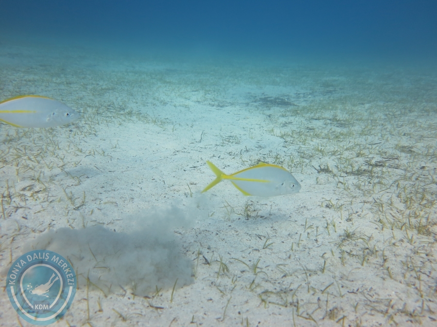 17-18 Ekim 2015 KAŞ 
