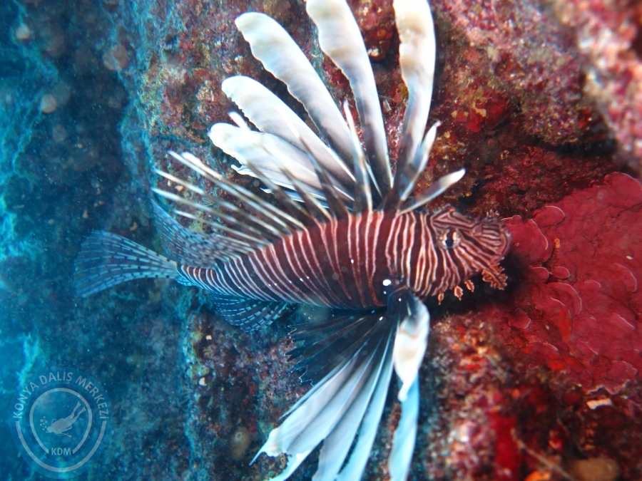 17-18 Ekim 2015 KAŞ 