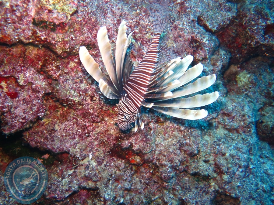 17-18 Ekim 2015 KAŞ 