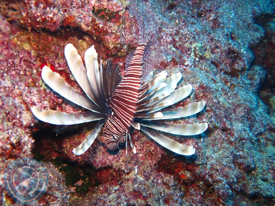 17-18 Ekim 2015 KAŞ 