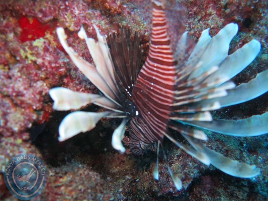 17-18 Ekim 2015 KAŞ 