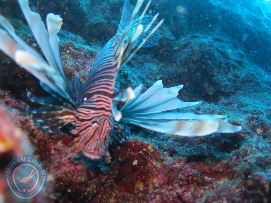 17-18 Ekim 2015 KAŞ 