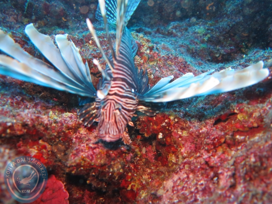 17-18 Ekim 2015 KAŞ 