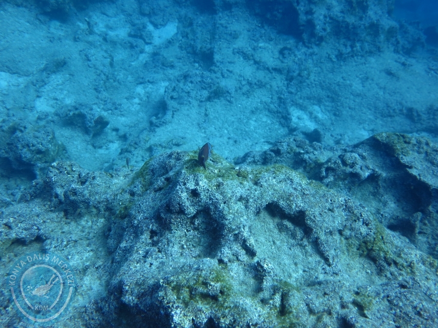 17-18 Ekim 2015 KAŞ 