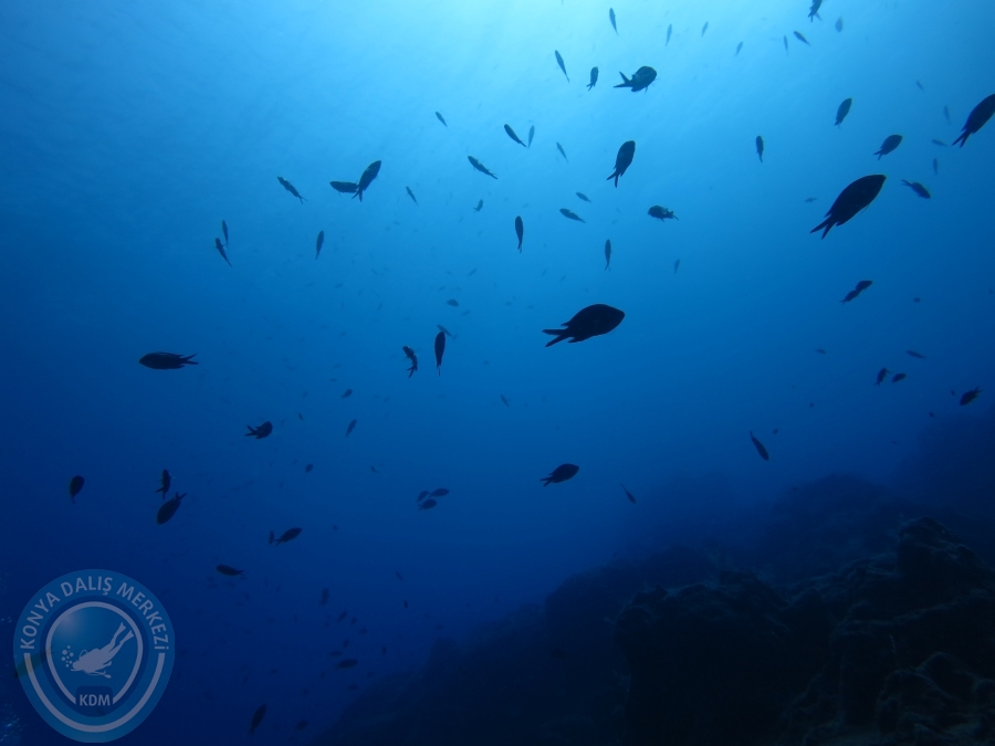 17-18 Ekim 2015 KAŞ 