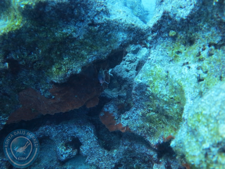 17-18 Ekim 2015 KAŞ 