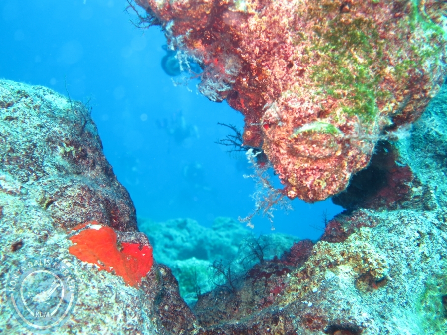 17-18 Ekim 2015 KAŞ 