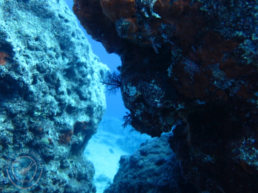 17-18 Ekim 2015 KAŞ 