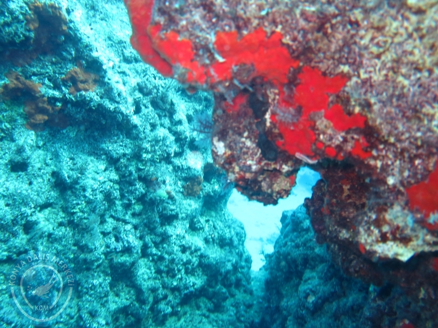 17-18 Ekim 2015 KAŞ 