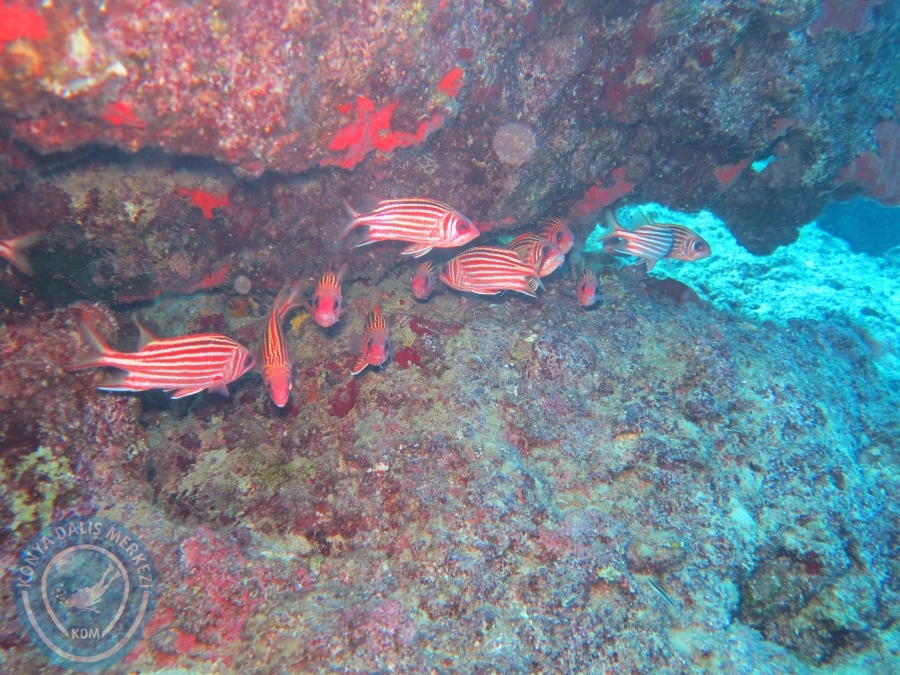 17-18 Ekim 2015 KAŞ 