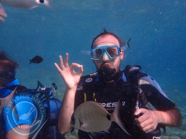 17-18 Eylül Bodrum