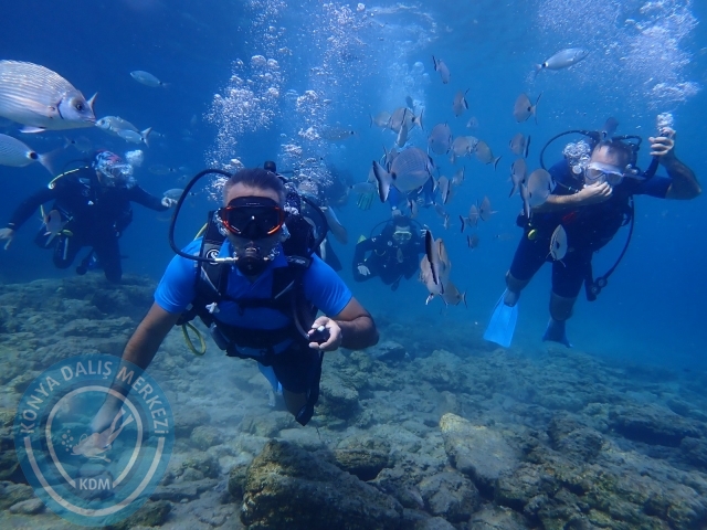17-18 Eylül Bodrum