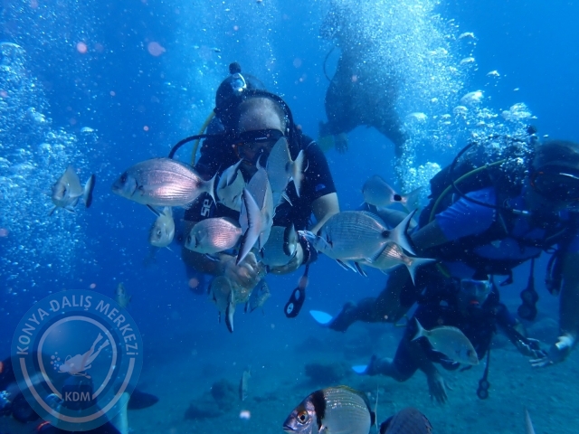 17-18 Eylül Bodrum