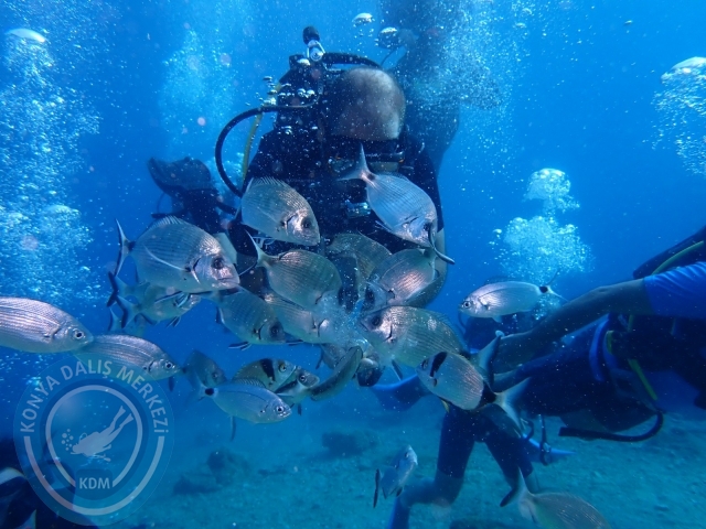 17-18 Eylül Bodrum