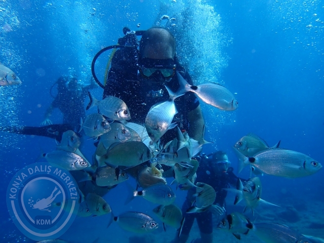 17-18 Eylül Bodrum