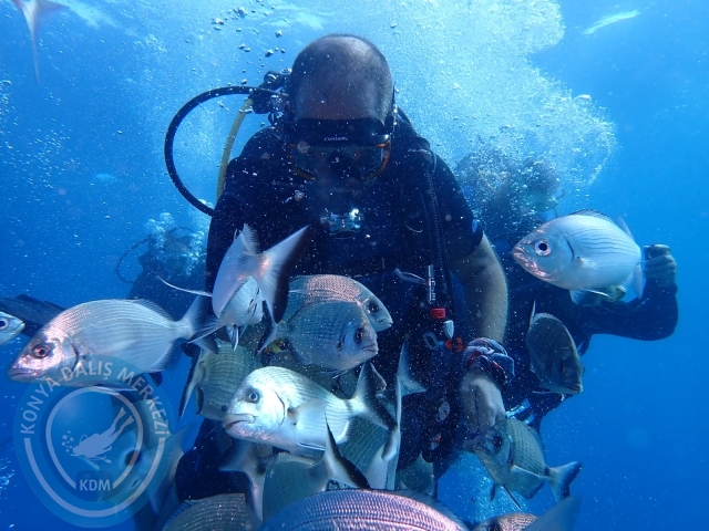 17-18 Eylül Bodrum