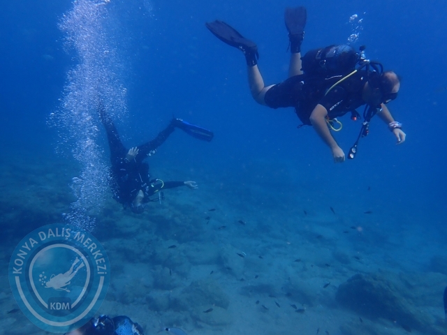 17-18 Eylül Bodrum