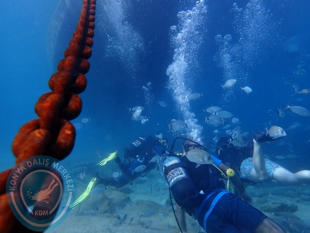17-18 Eylül Bodrum