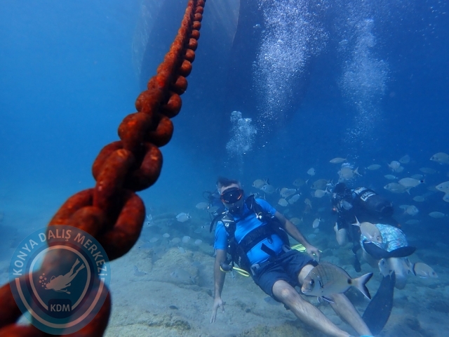 17-18 Eylül Bodrum