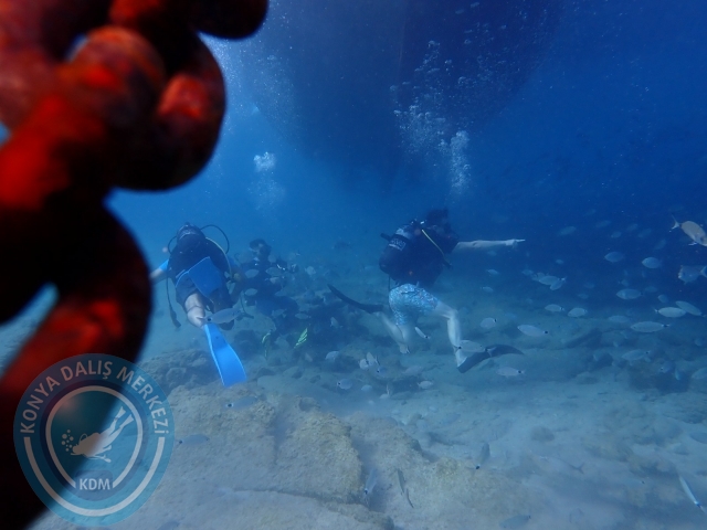 17-18 Eylül Bodrum