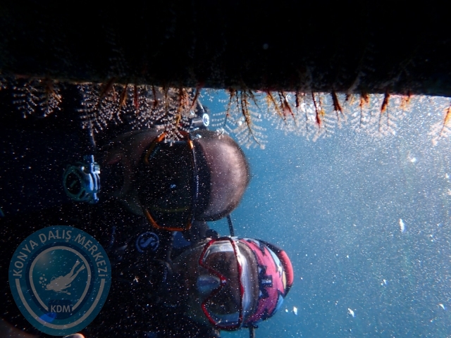 17-18 Eylül Bodrum