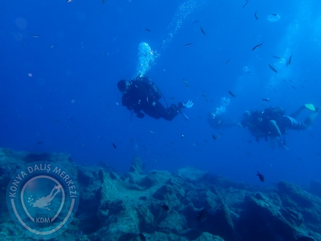 17-18 Eylül Bodrum