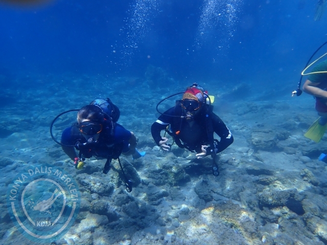 17-18 Eylül Bodrum