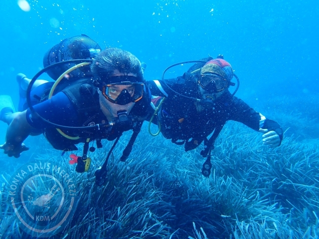 17-18 Eylül Bodrum