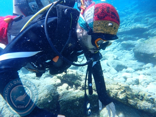 17-18 Eylül Bodrum