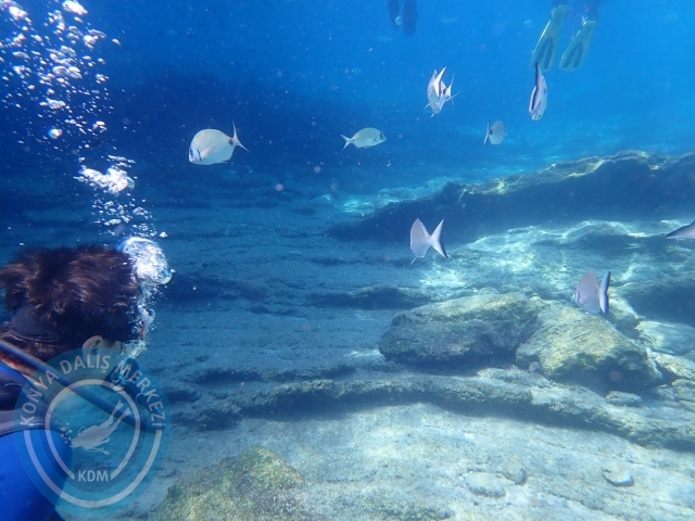 17-18 Eylül Bodrum