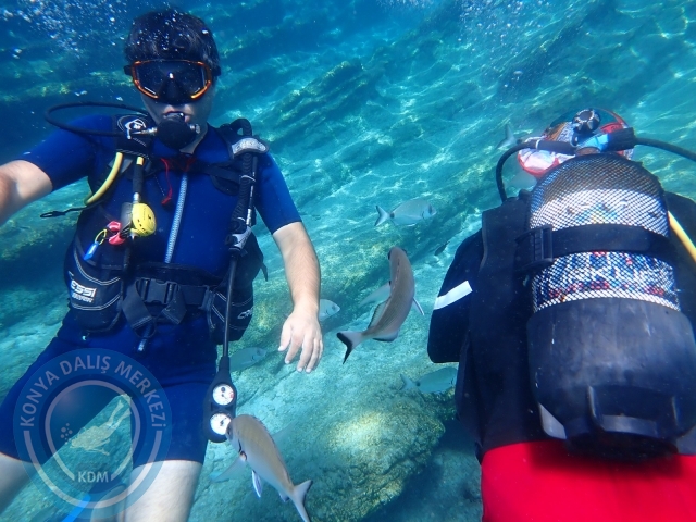 17-18 Eylül Bodrum